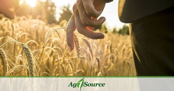 ag 1 source